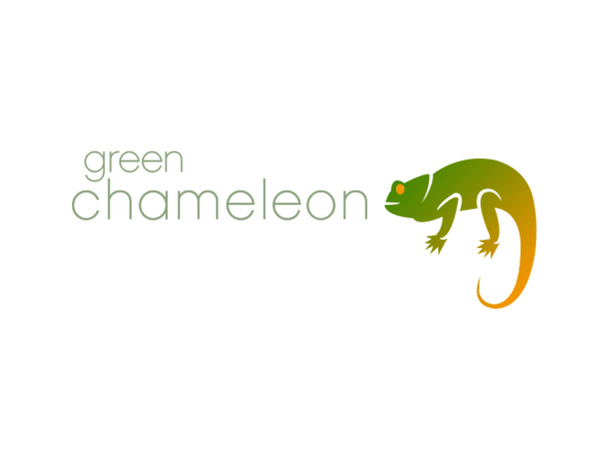 blog-green-chameleon.jpg